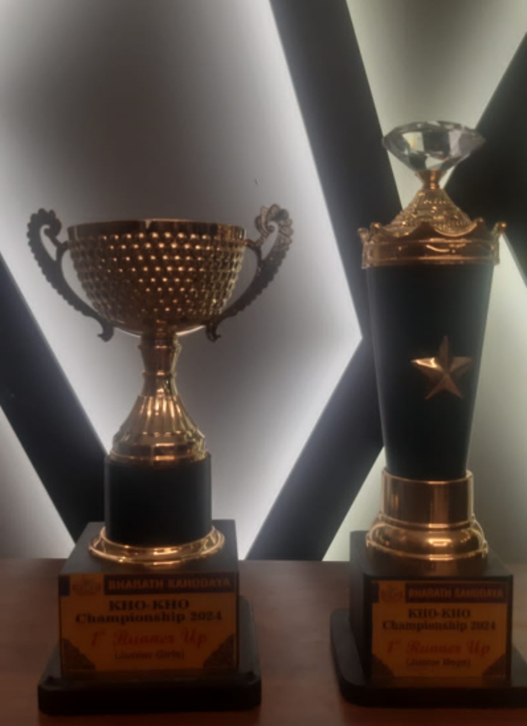 Vyasa Vidya Bhavan Gallery